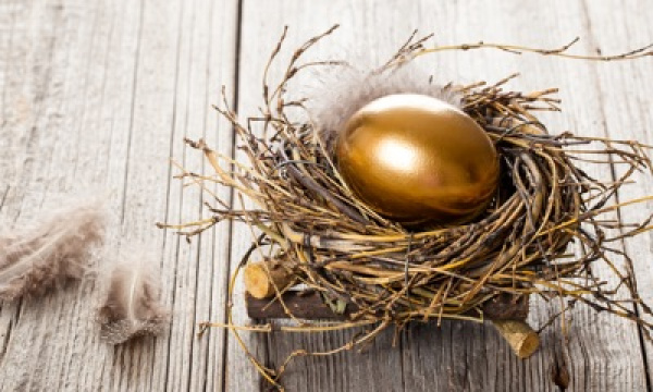 Superannuation nest egg