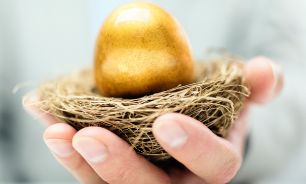 Nest egg in hand